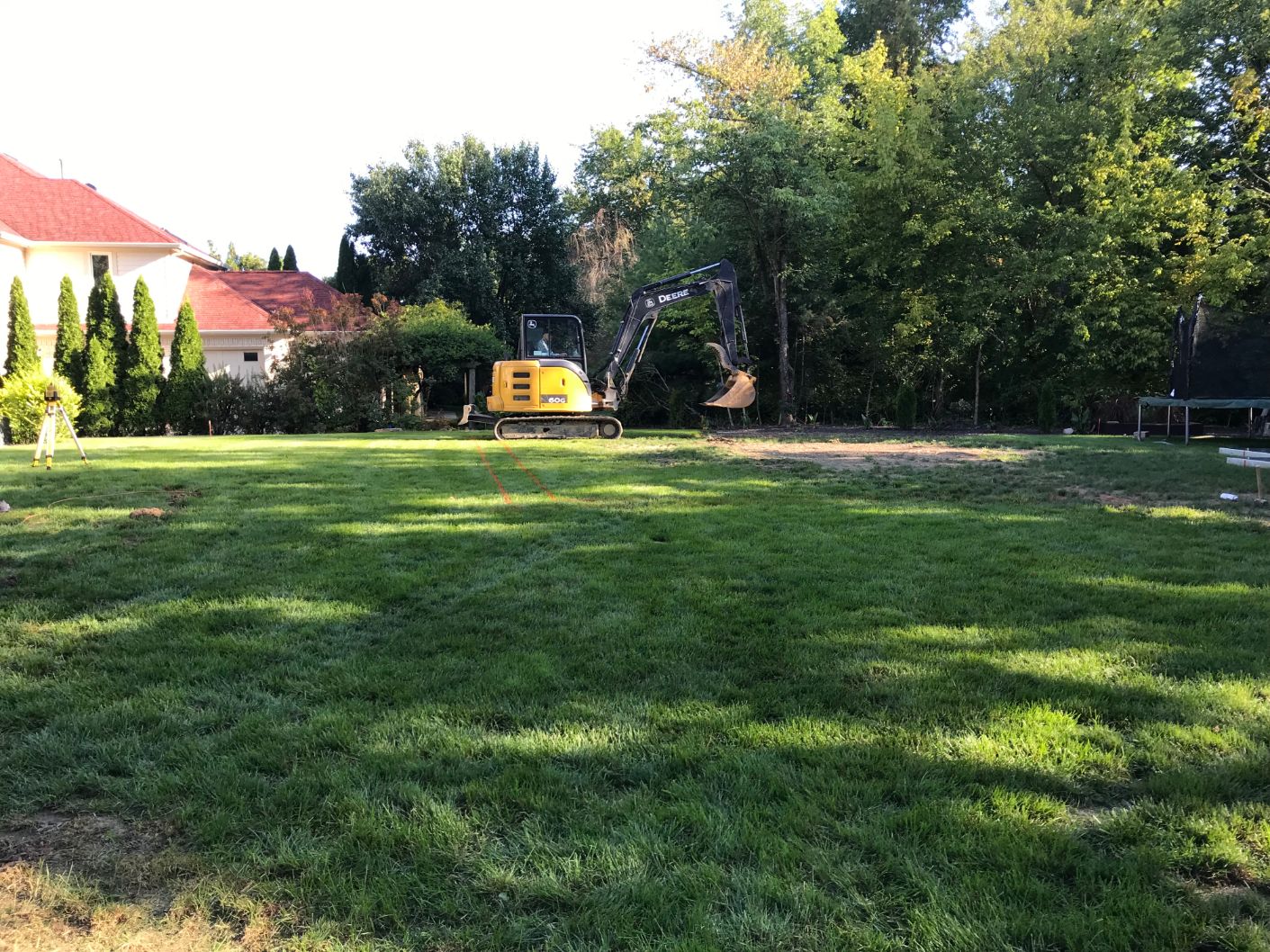 Cambridge Backyard Rescue