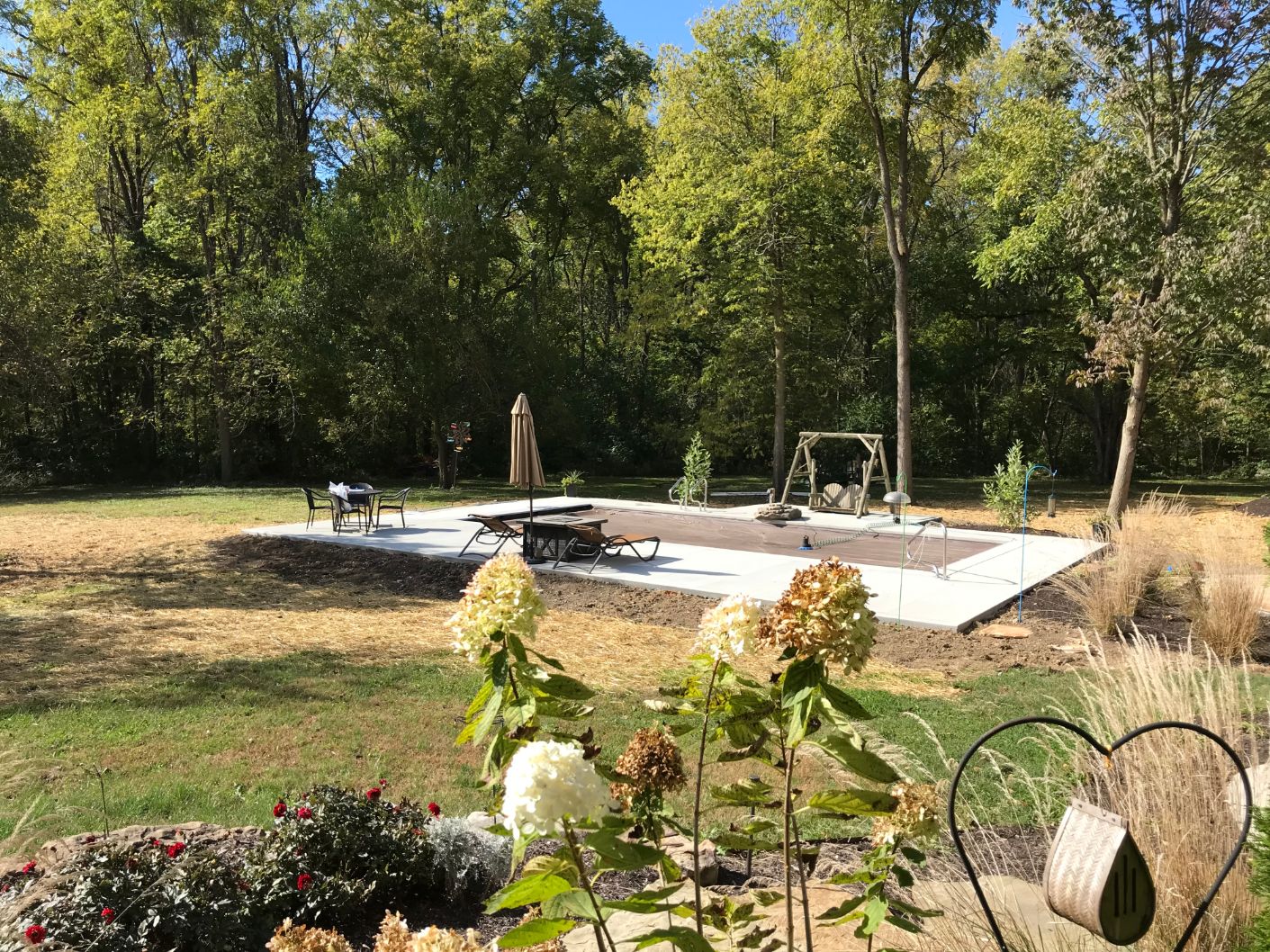 Pool in the Woods