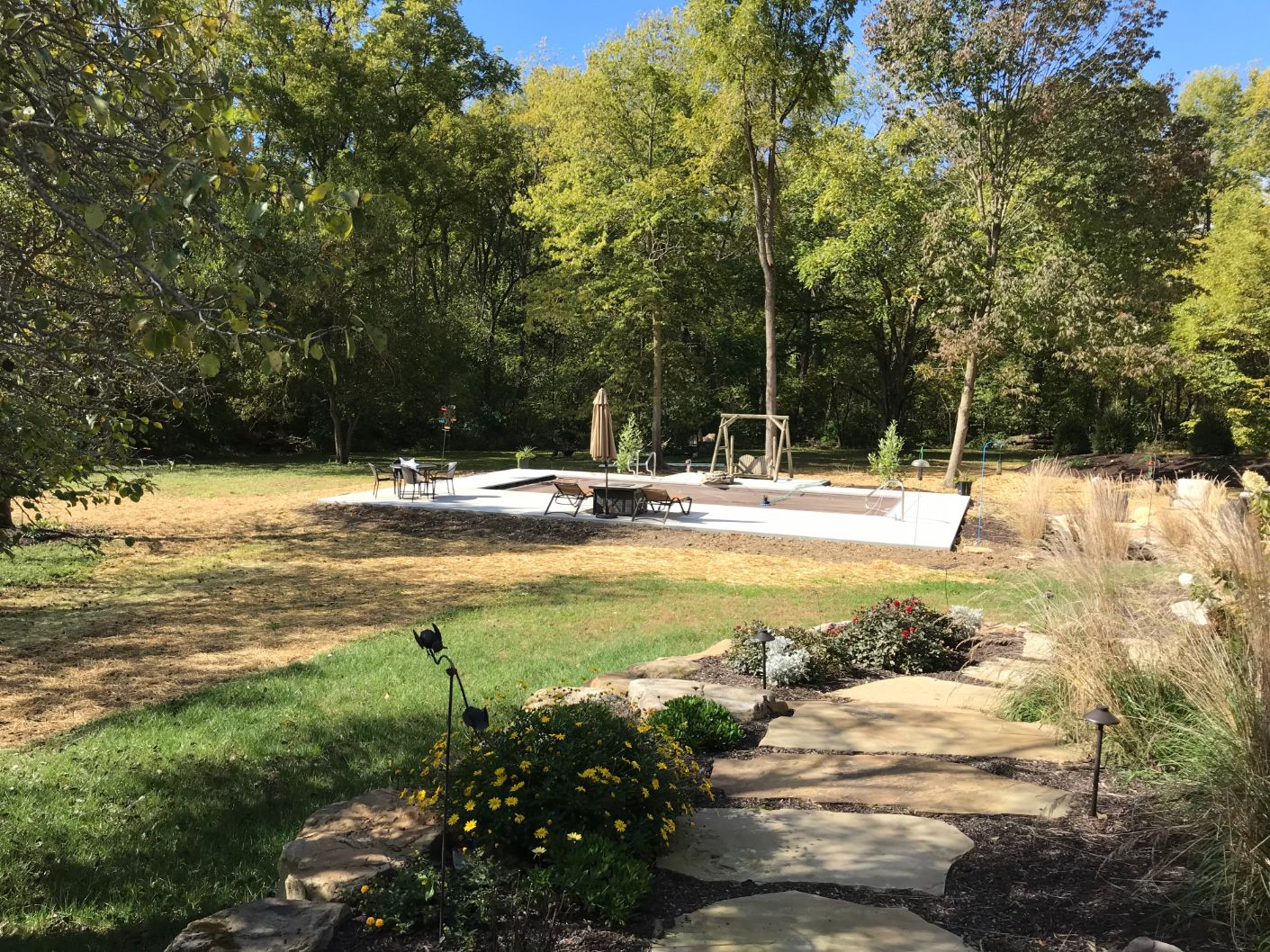 Pool in the Woods