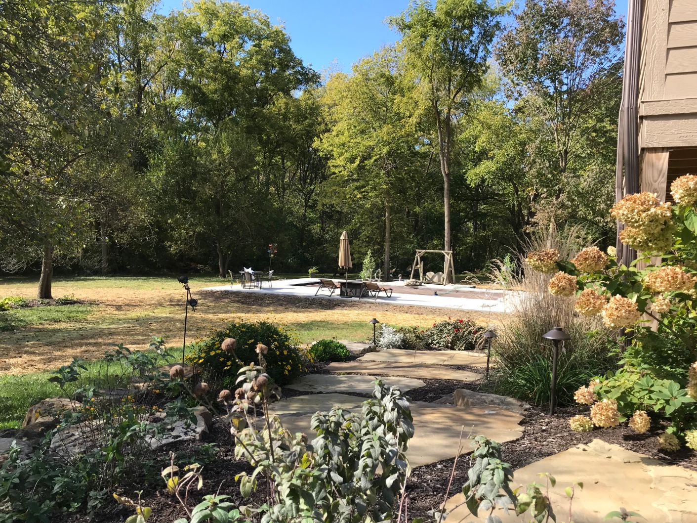 Pool in the Woods
