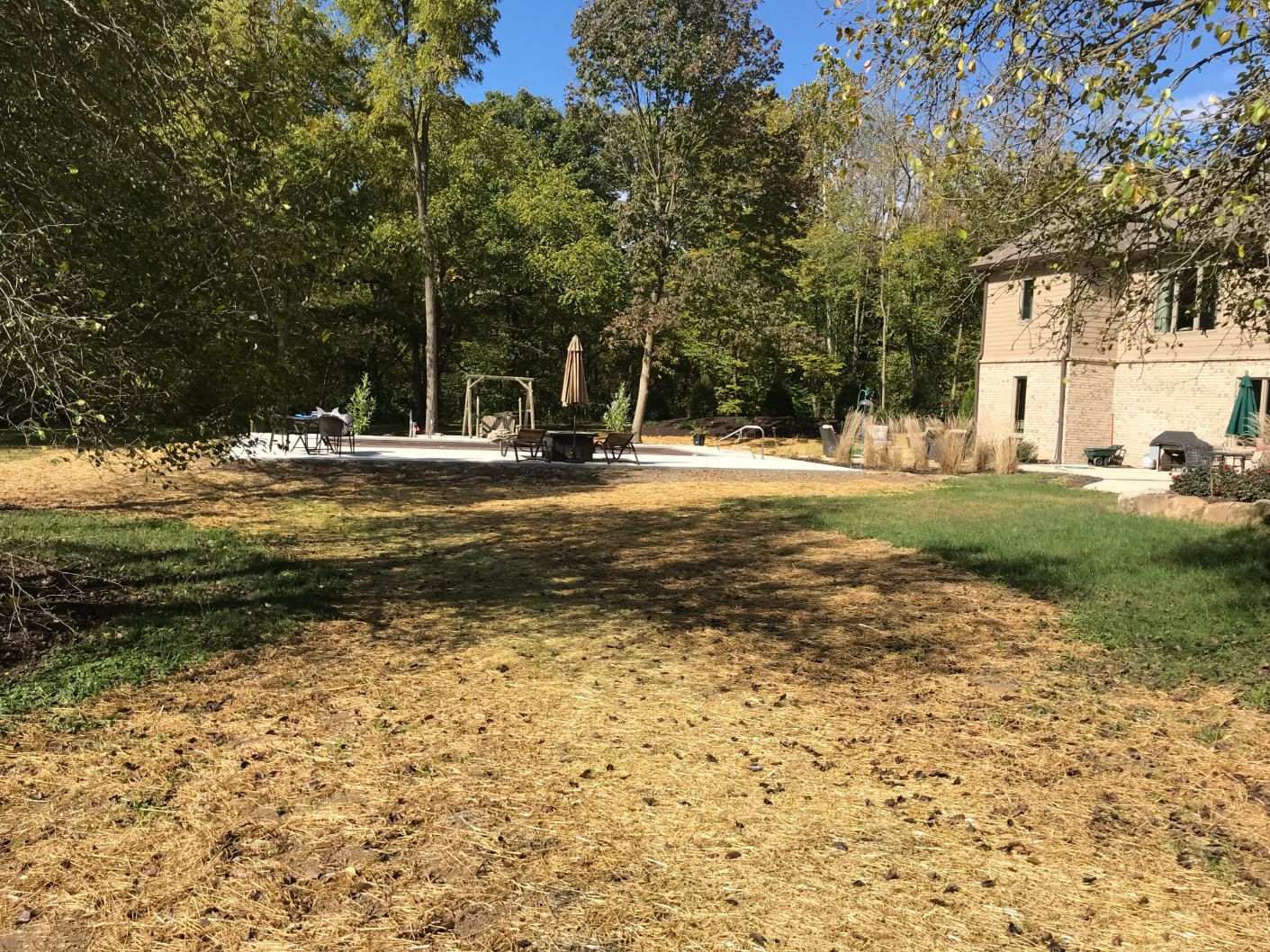 Pool in the Woods