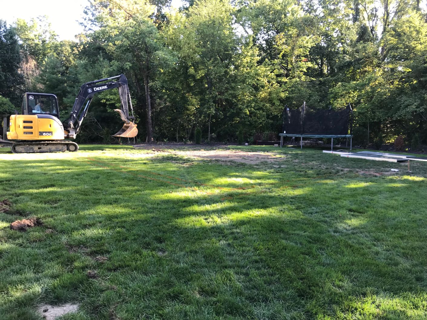 Cambridge Backyard Rescue