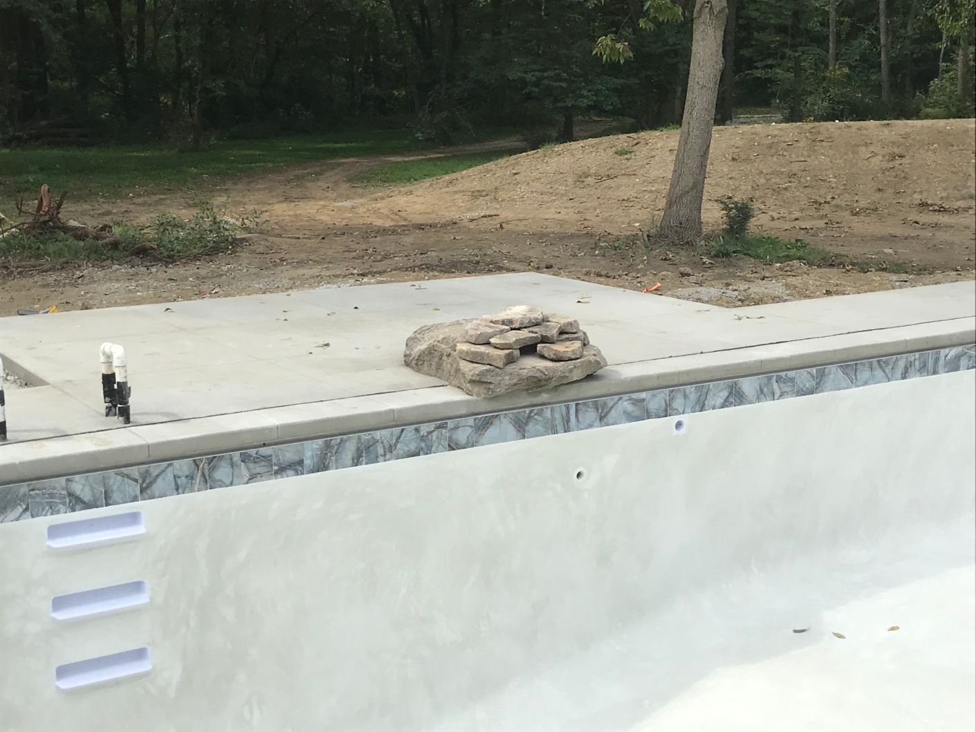 Pool in the Woods