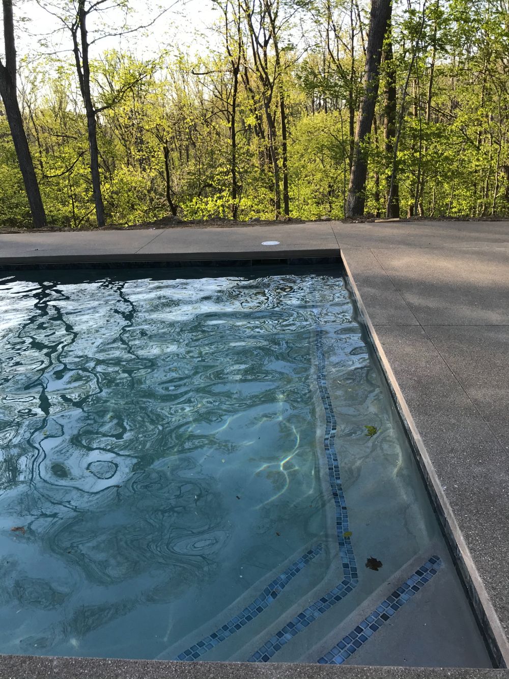 Geist Ridge Pool For the Whole Family